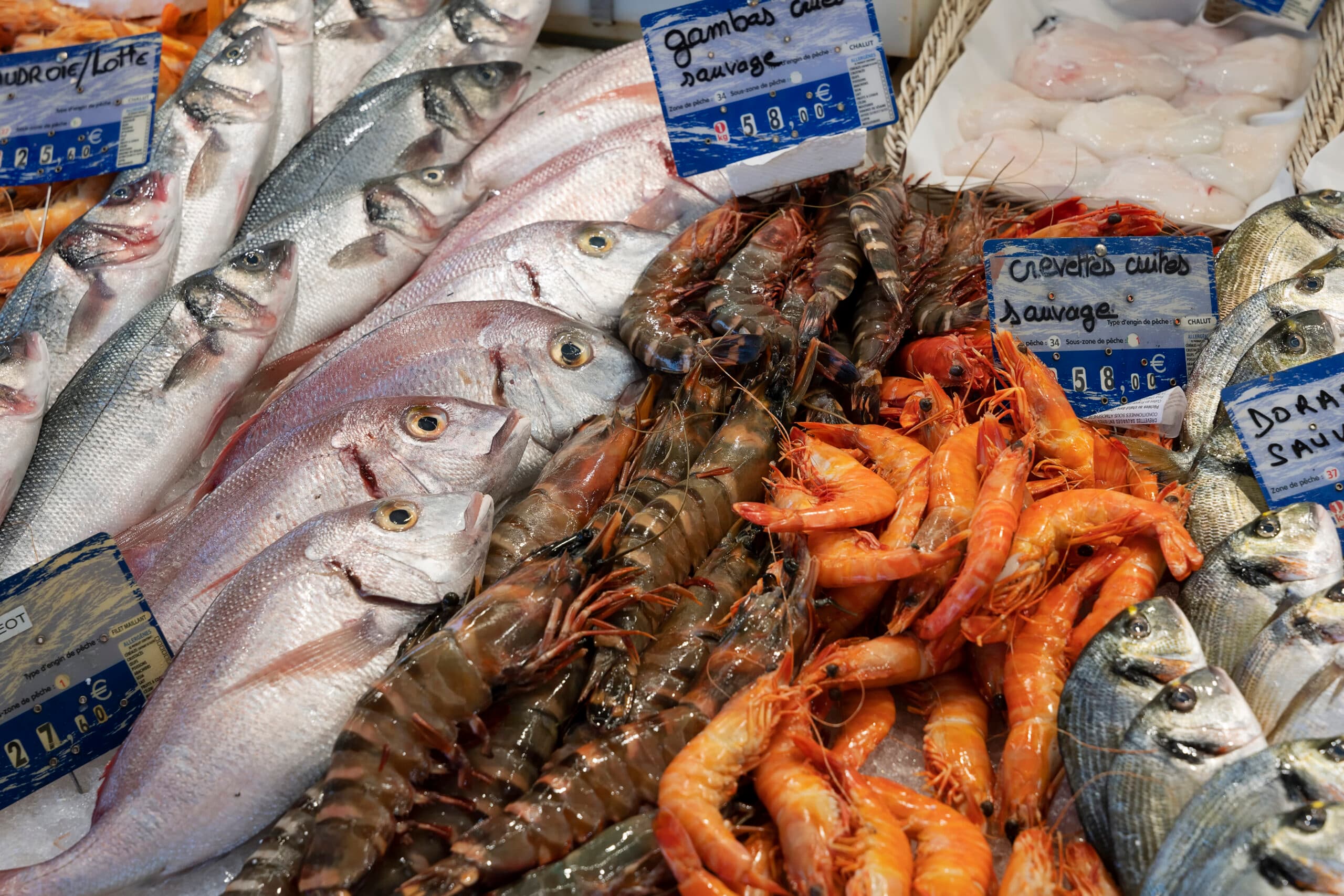 Procon Tubarão compara preços de pescados para Semana Santa